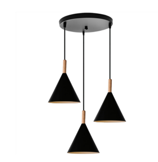 Black Modern Antique Pendant Light