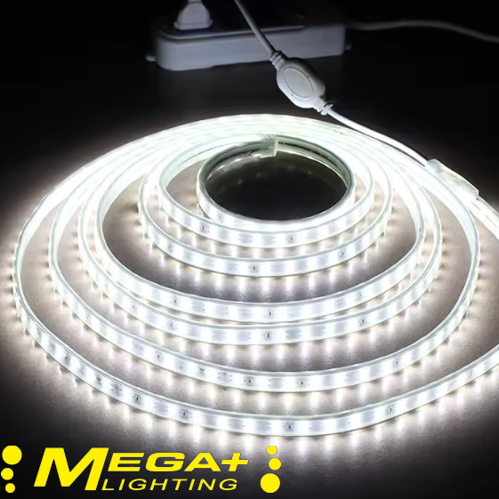220V Led strip IP65 Waterproof 2835 SMD 120 Leds  Blue ,White,Warm white