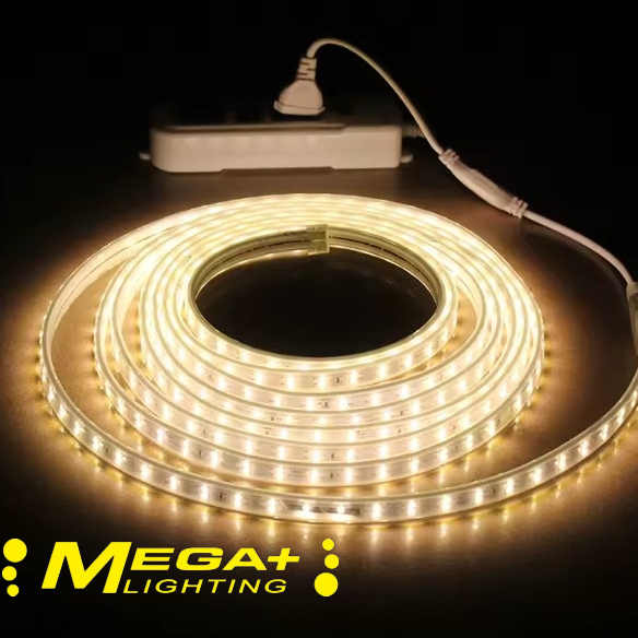 220V Led strip IP65 Waterproof 2835 SMD 120 Leds  Blue ,White,Warm white