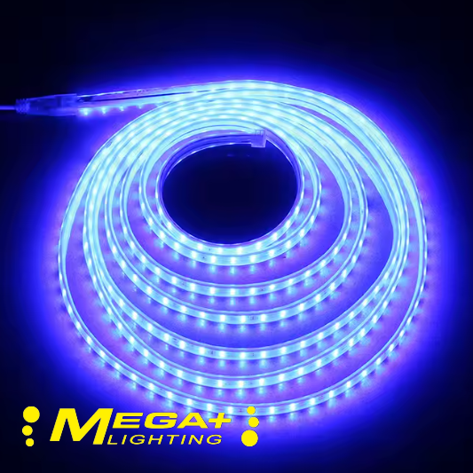220V Led strip IP65 Waterproof 2835 SMD 120 Leds  Blue ,White,Warm white
