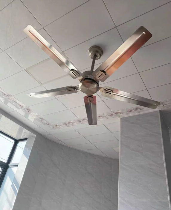 Amazon 5-Point Description Template: Outdoor Stainless Steel 5-Blade 50" Ceiling Fan