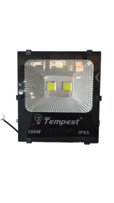 100w cob led floodlight