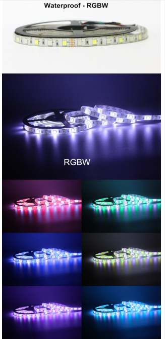 12v LED Strip 5050  LED Strip White Blue  RGB RGBW.