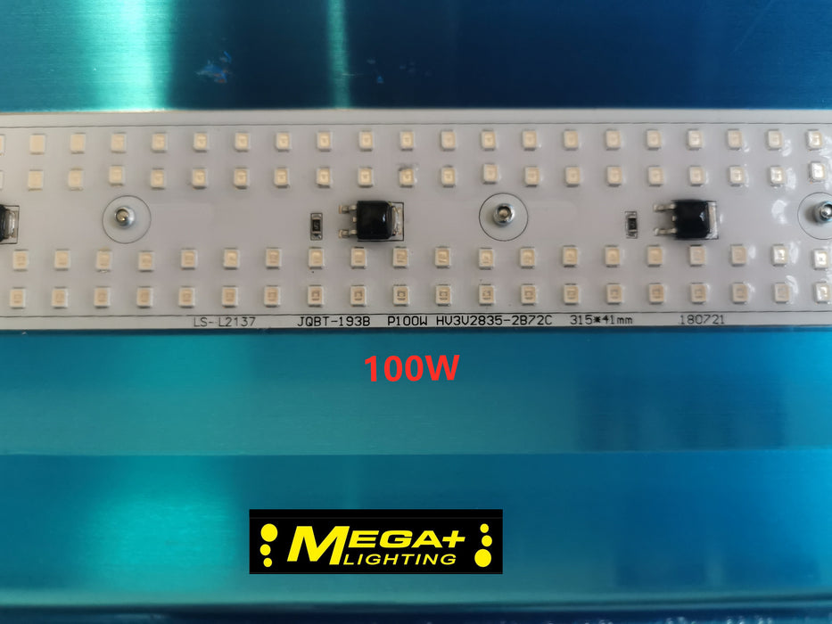 220V 50W 100W LED GrowLight Phyto Simple floodlight