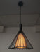 Single hanging pendant light