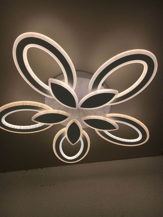 Modern led ceiling Flower shape Light