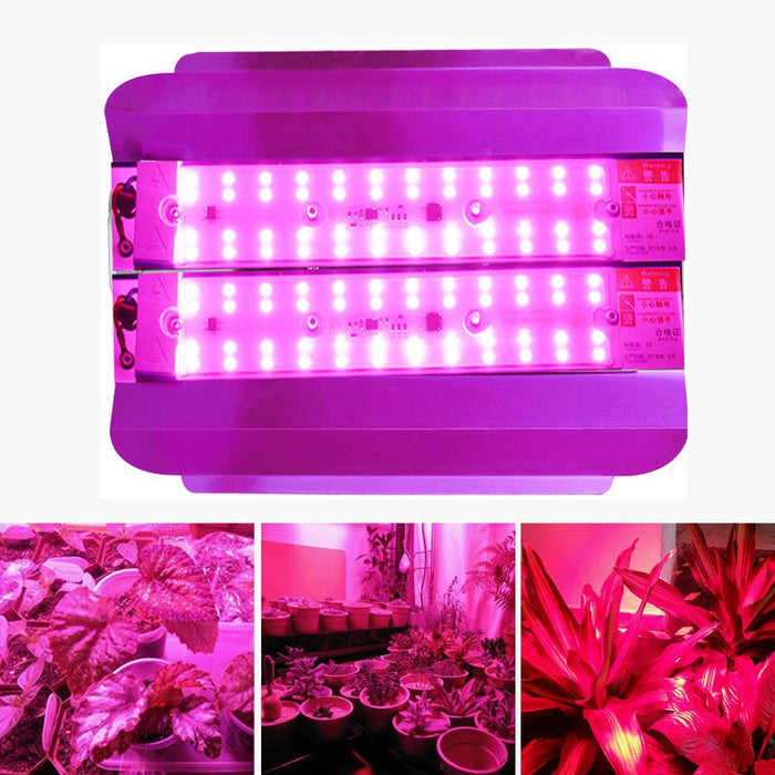 220V LED GROW FLOODLIGHT 50W 100W LED GrowLight COB Full Spectrum Plant Light